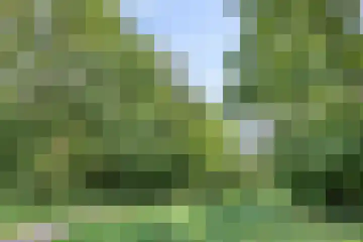 Koningsveld 29 Terheijden thumbnail 49