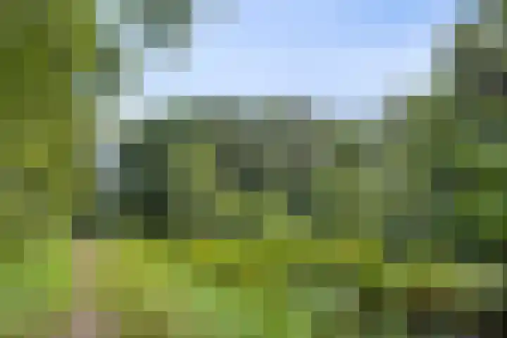 Koningsveld 29 Terheijden thumbnail 50