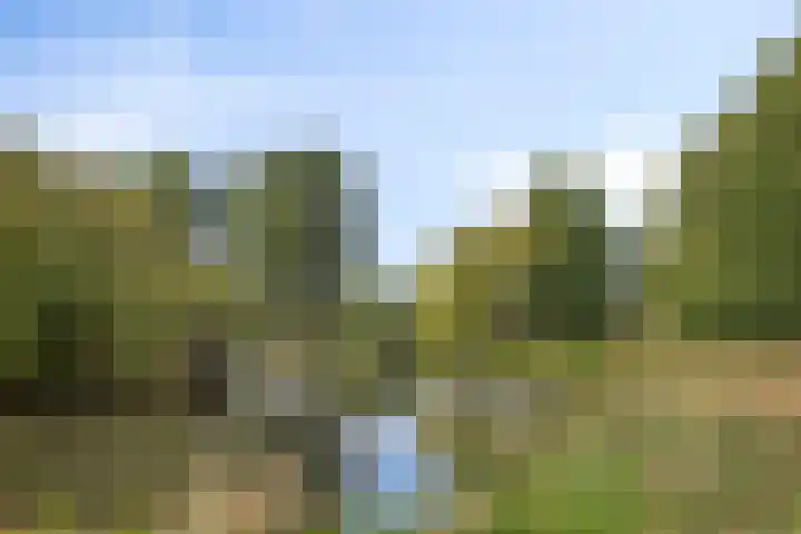 Koningsveld 29 Terheijden thumbnail 51