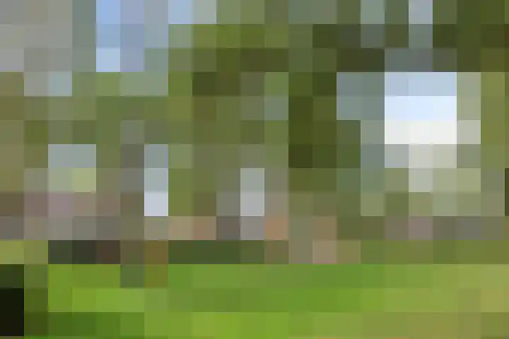 Koningsveld 29 Terheijden thumbnail 52