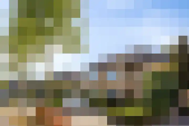 Koningsveld 29 Terheijden thumbnail 7