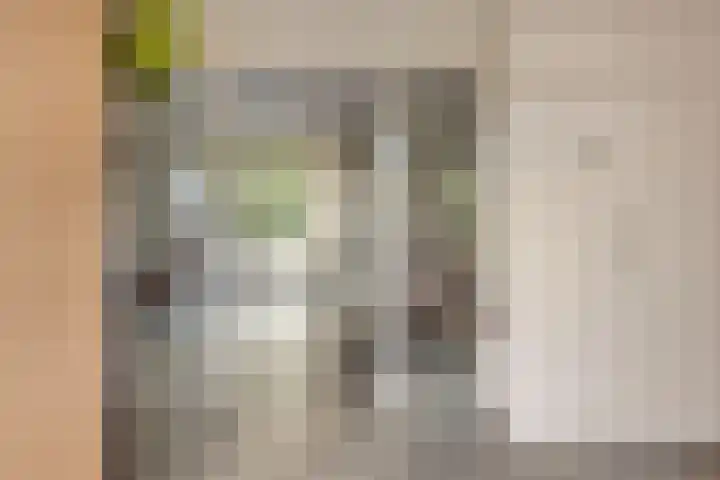 Koningsveld 29 Terheijden thumbnail 8