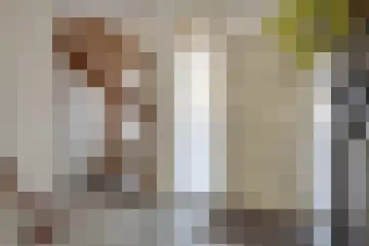 Koningsveld 29 Terheijden thumbnail 9