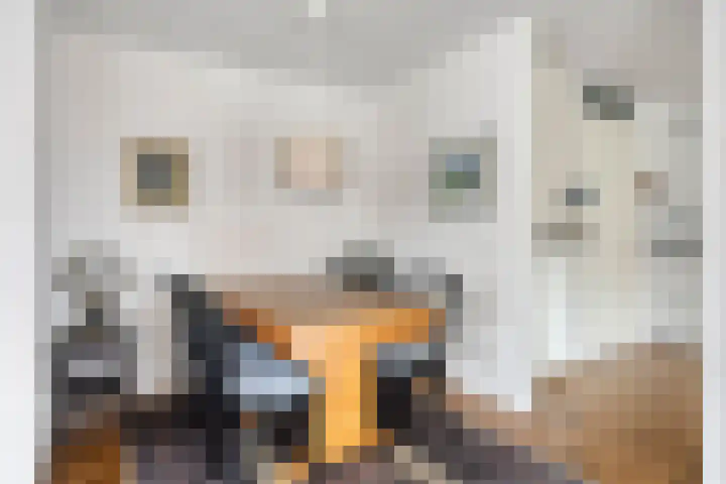 Koningsveld 3 Delft thumbnail 26