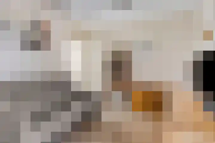 Koningsveld 39 Erp thumbnail 20