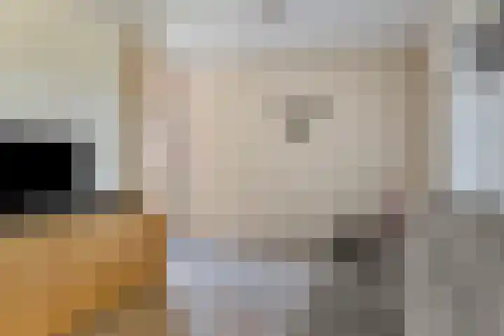 Koningsveld 39 Erp thumbnail 21