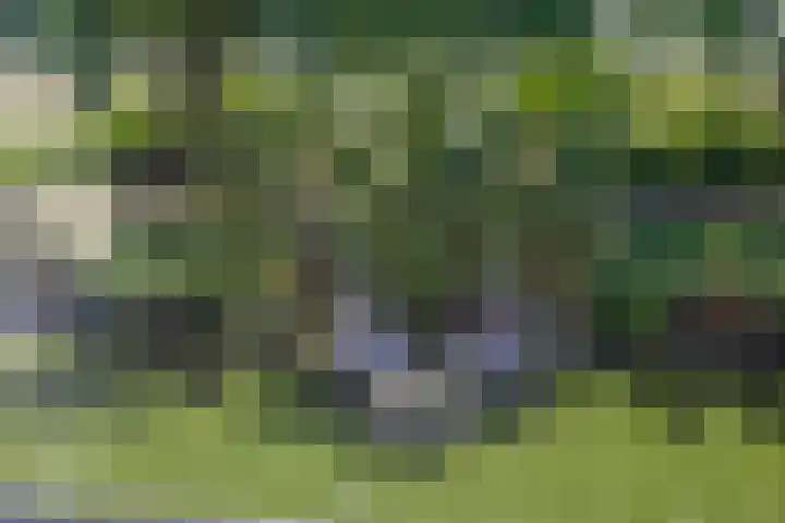 Koningsveld 39 Erp thumbnail 39