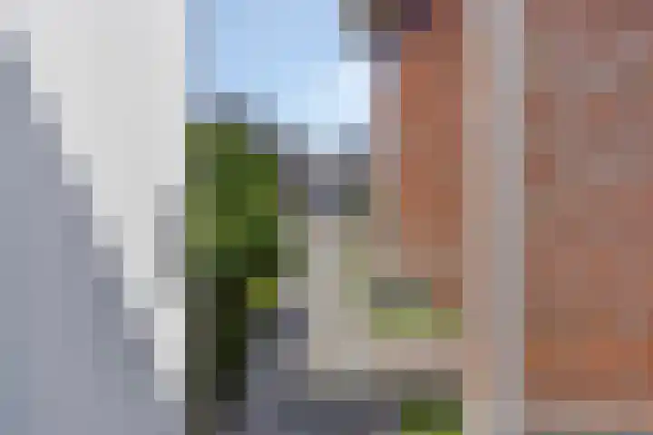 Koningsveld 39 Erp thumbnail 49