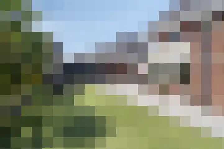 Koningsveld 39 Erp thumbnail 55