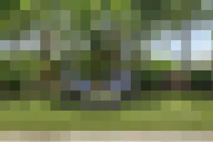 Koningsveld 39 Erp thumbnail 57
