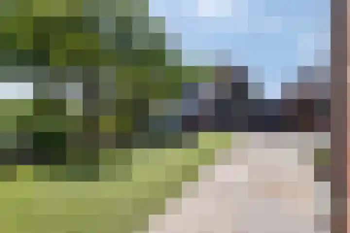 Koningsveld 39 Erp thumbnail 58