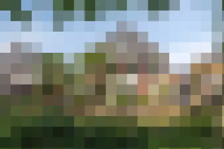 Koningsveld 39 Erp thumbnail 60