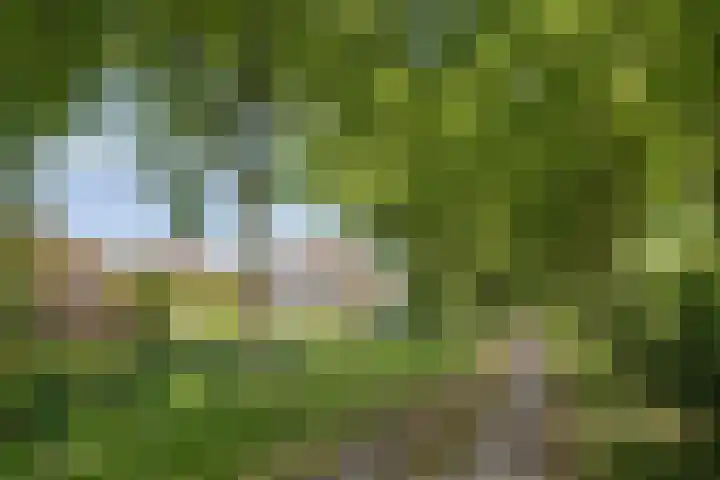 Koningsveld 39 Erp thumbnail 61