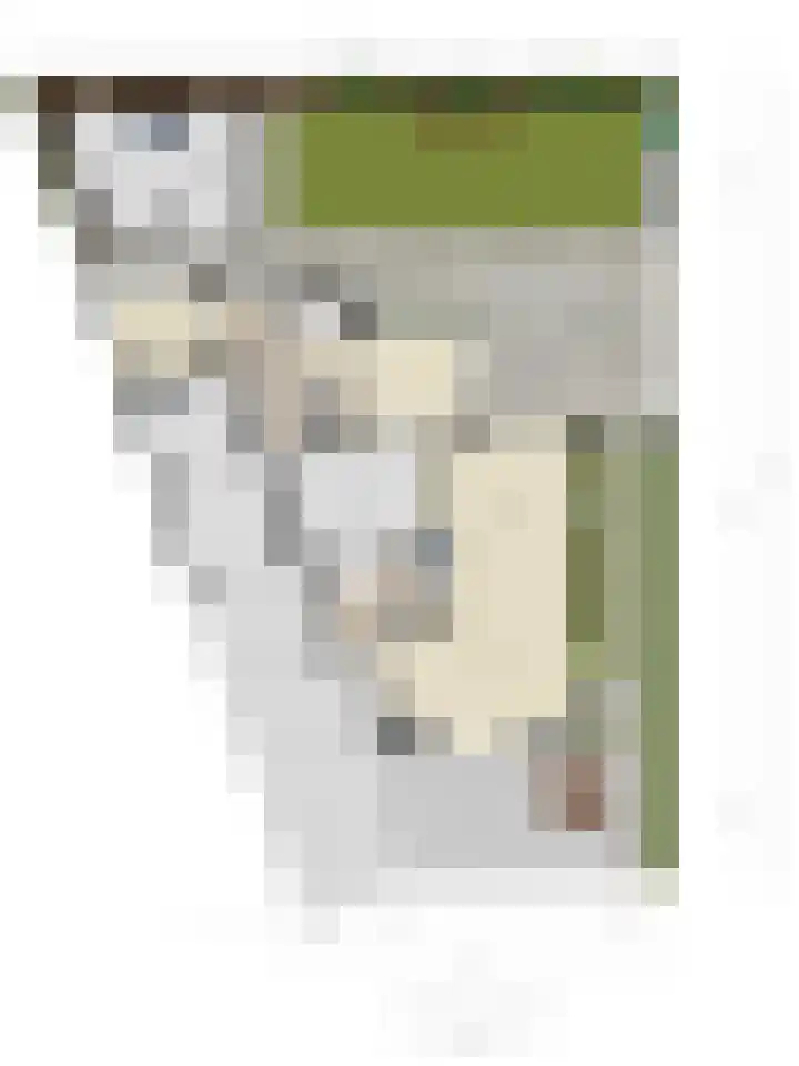 Koningsveld 39 Erp thumbnail 64