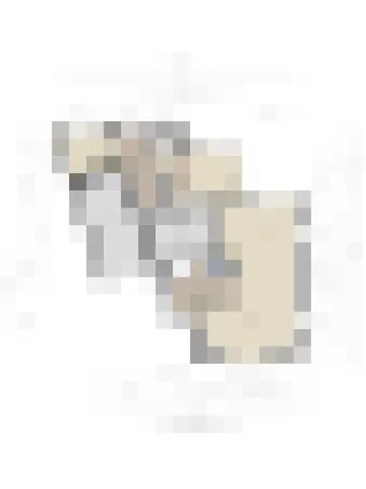 Koningsveld 39 Erp thumbnail 65