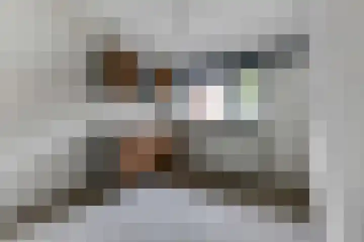 Koningsveld 4 Ede thumbnail 13