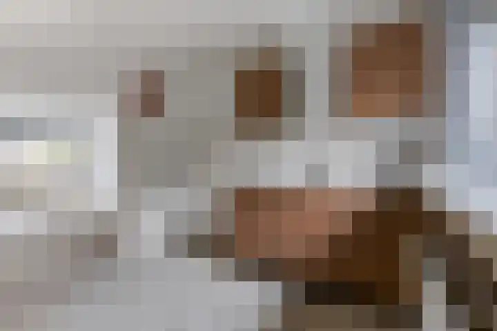 Koningsveld 4 Ede thumbnail 14