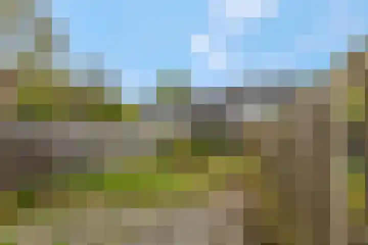 Koningsveld 4 Ede thumbnail 29