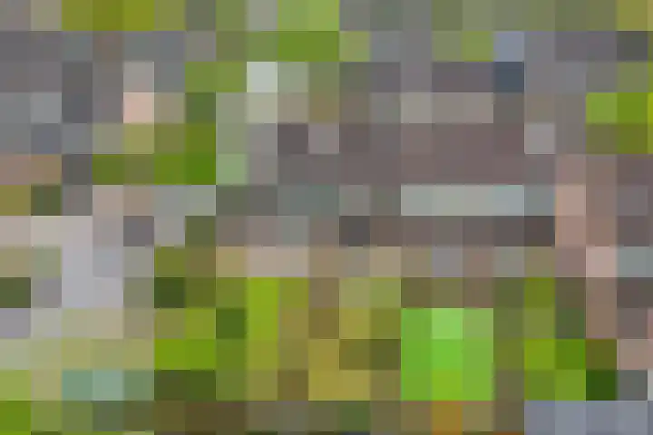 Koningsveld 4 Ede thumbnail 4