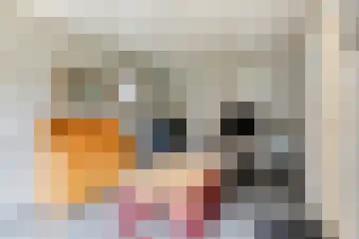 Koningsveld 45 Erp thumbnail 22