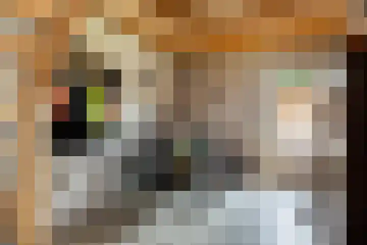 Koningsveld 45 Erp thumbnail 28