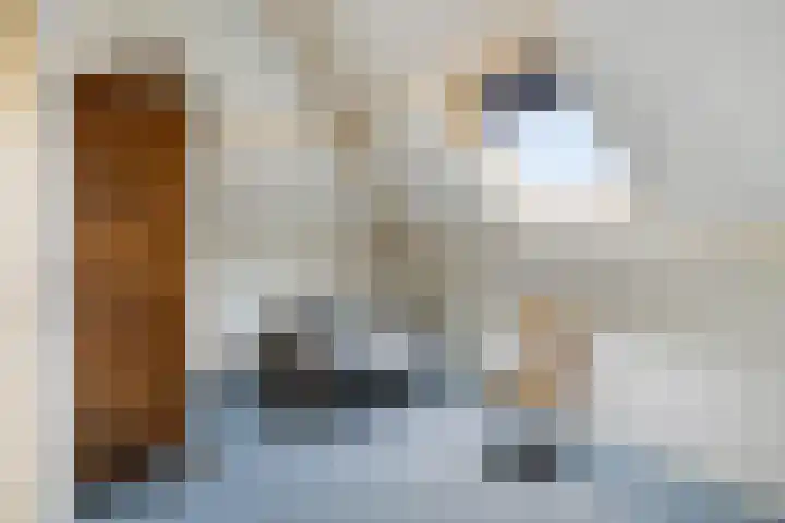 Koningsveld 45 Erp thumbnail 32