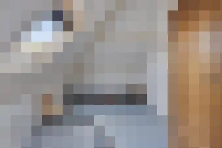 Koningsveld 45 Erp thumbnail 35