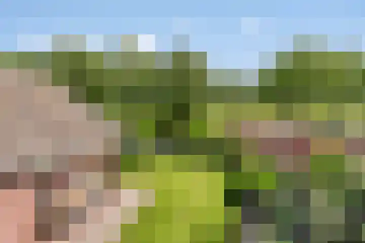 Koningsveld 45 Erp thumbnail 40