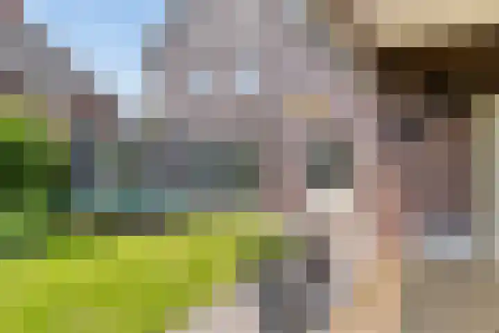 Koningsveld 45 Erp thumbnail 44