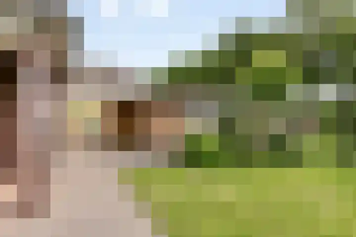 Koningsveld 45 Erp thumbnail 45