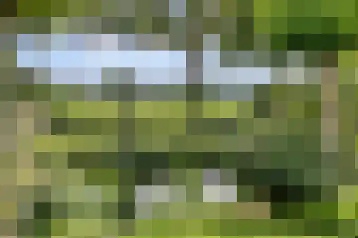 Koningsveld 45 Erp thumbnail 46