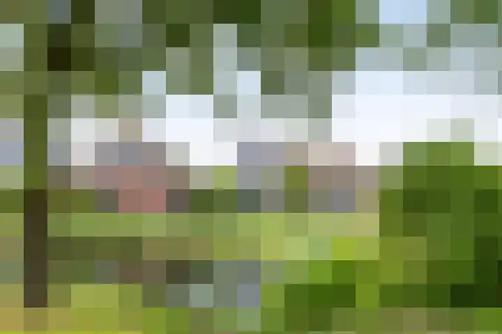 Koningsveld 45 Erp thumbnail 47