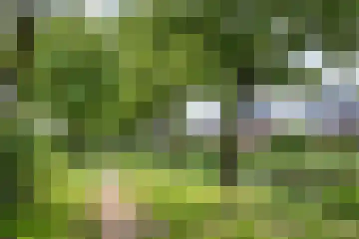 Koningsveld 45 Erp thumbnail 48