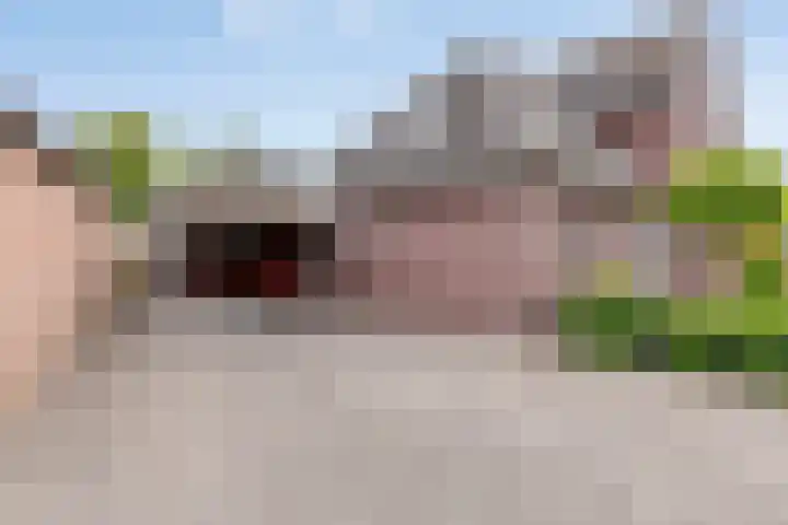 Koningsveld 45 Erp thumbnail 5