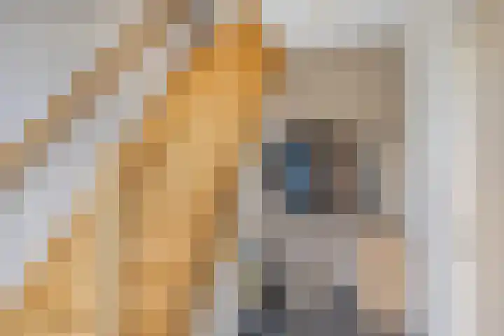 Koningsveld 45 Erp thumbnail 9