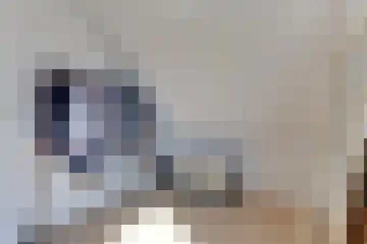 Koningsveld 49 Heiloo thumbnail 30