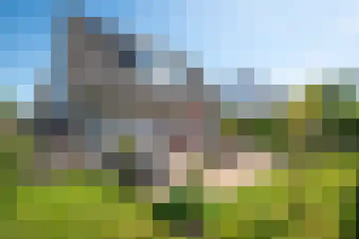 Koningsveld 49 Heiloo thumbnail 33
