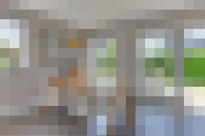 Koningsveld 49 Heiloo thumbnail 8