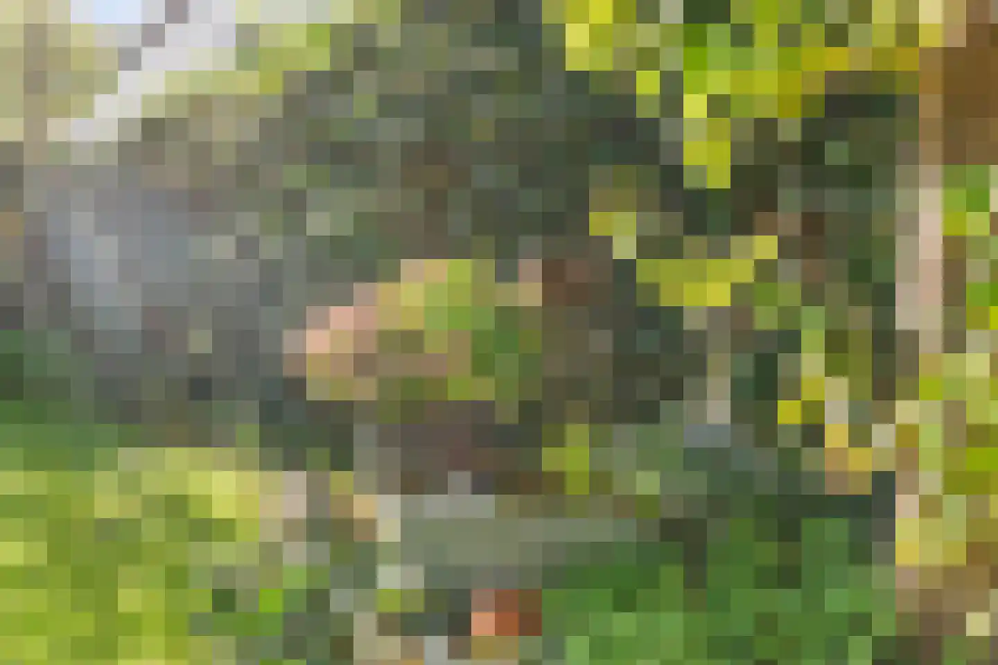 Koningsveld 8 Heiloo thumbnail 10