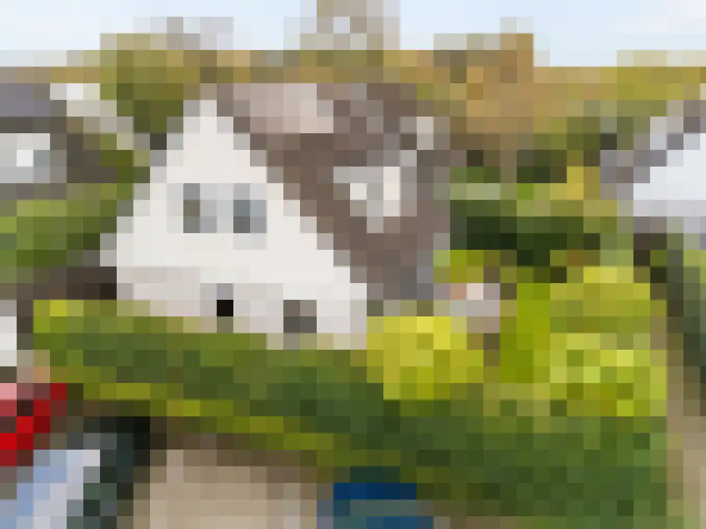 Koningsveld 8 Heiloo thumbnail 34