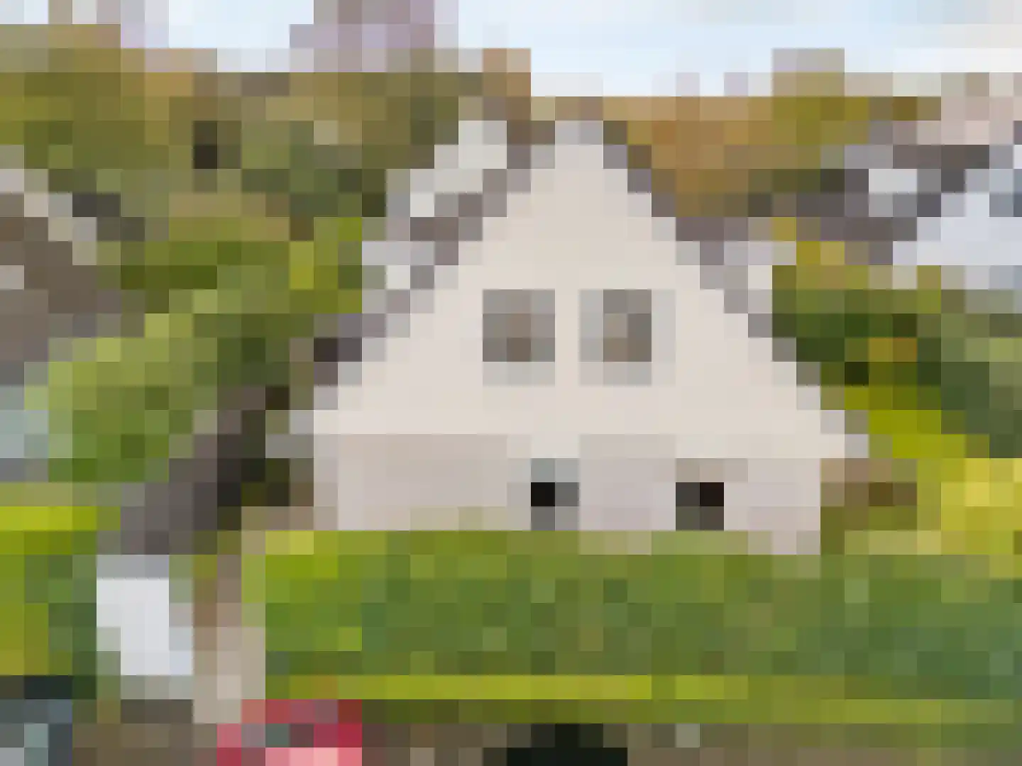 Koningsveld 8 Heiloo thumbnail 35