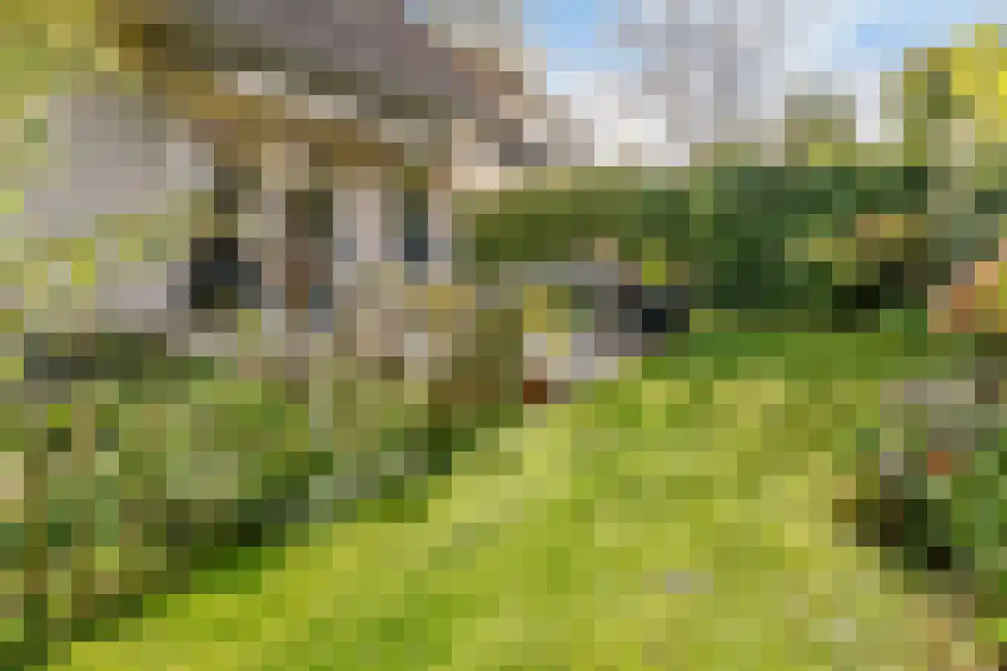 Koningsveld 8 Heiloo thumbnail 6