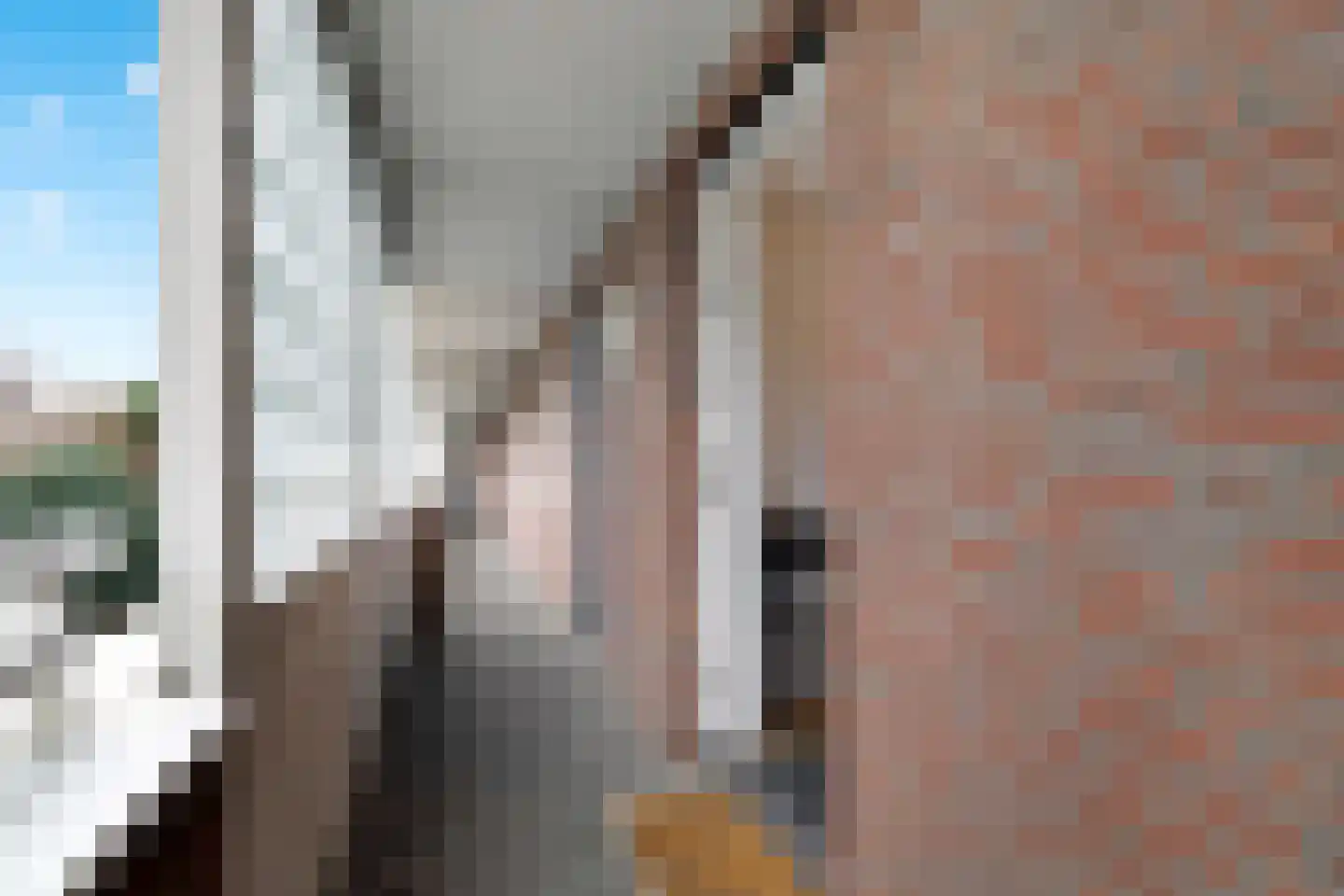 Koningsveldestraat 29 A Rotterdam thumbnail 6