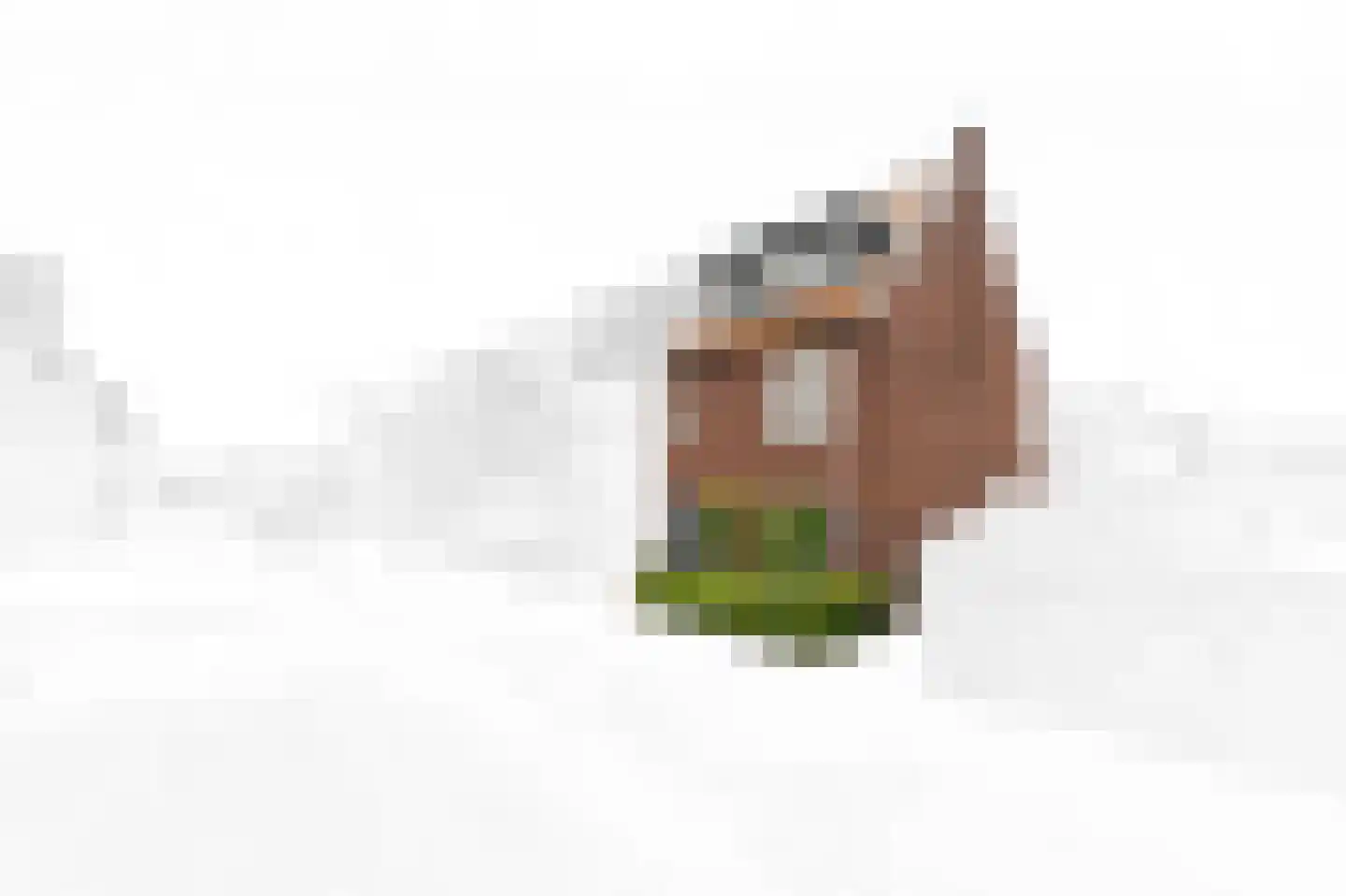 Koningsveldland 13 Den Hoorn thumbnail 8