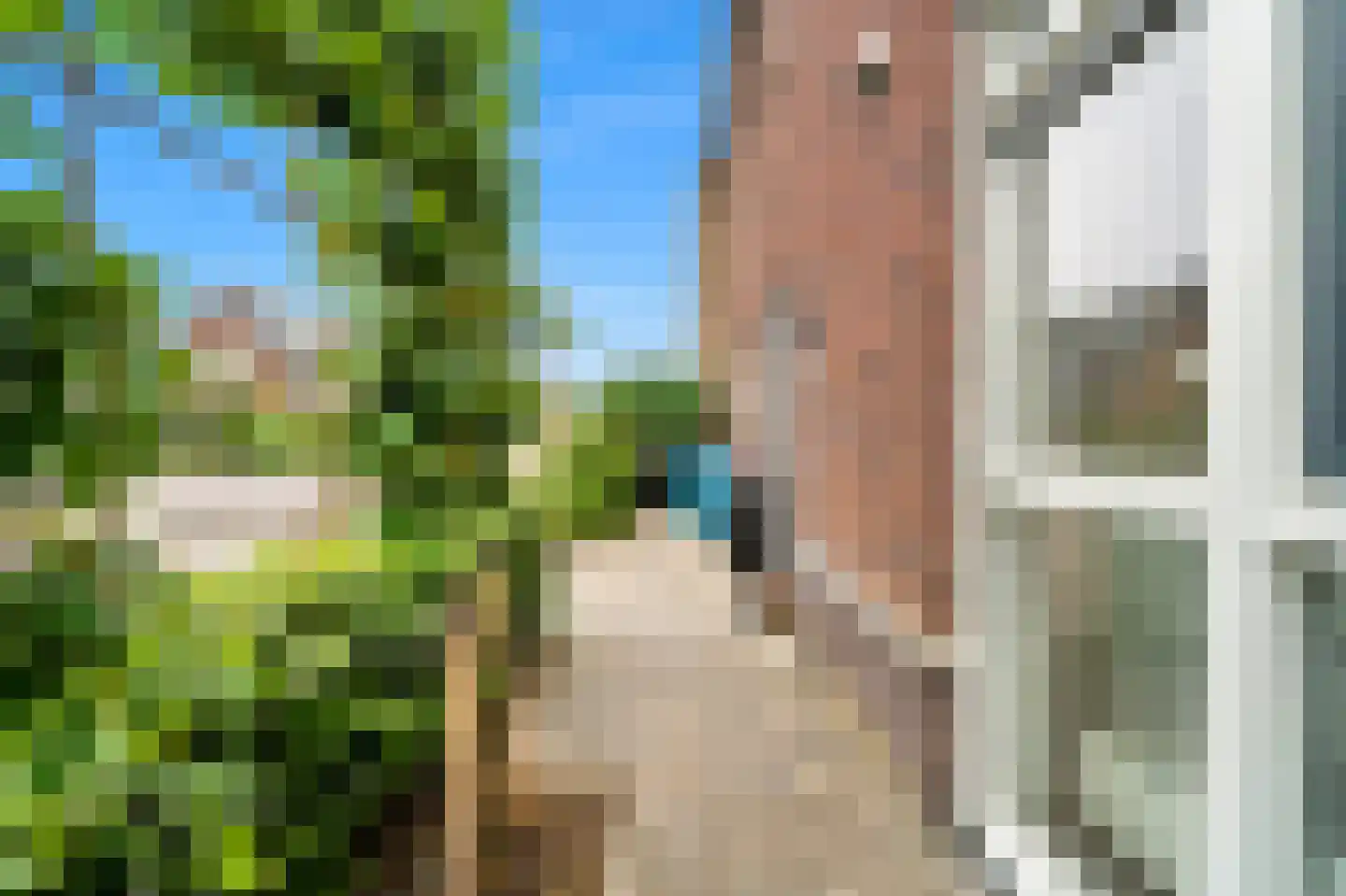 Koningsveldland 13 Den Hoorn thumbnail 9