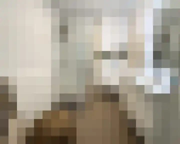 Koningswaard 249 Rotterdam thumbnail 20
