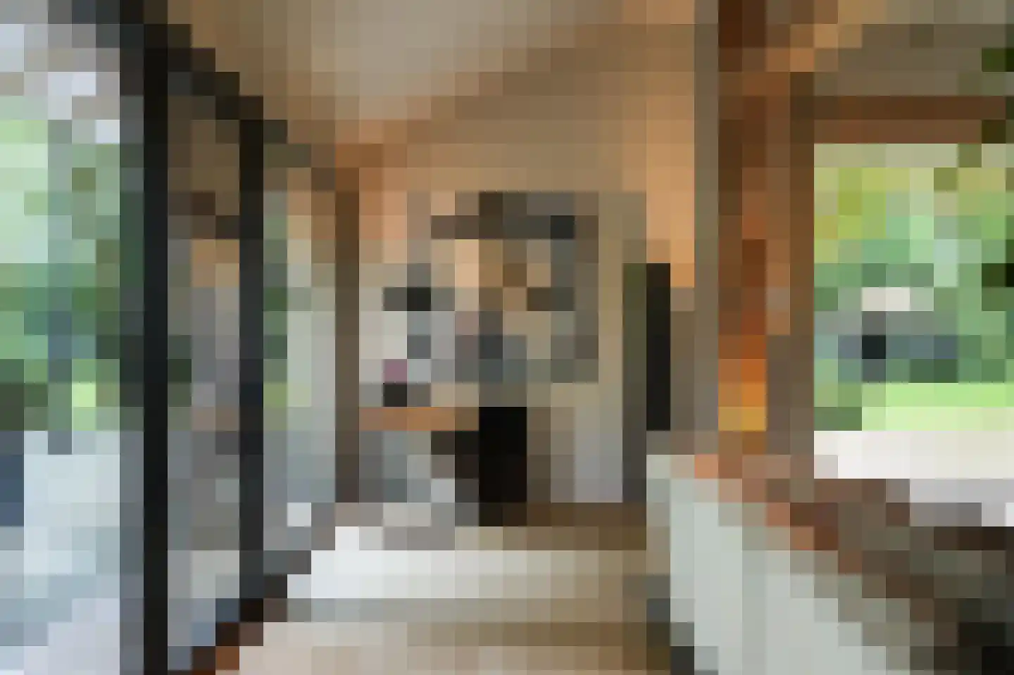 Koningsweg 1 Esch thumbnail 17