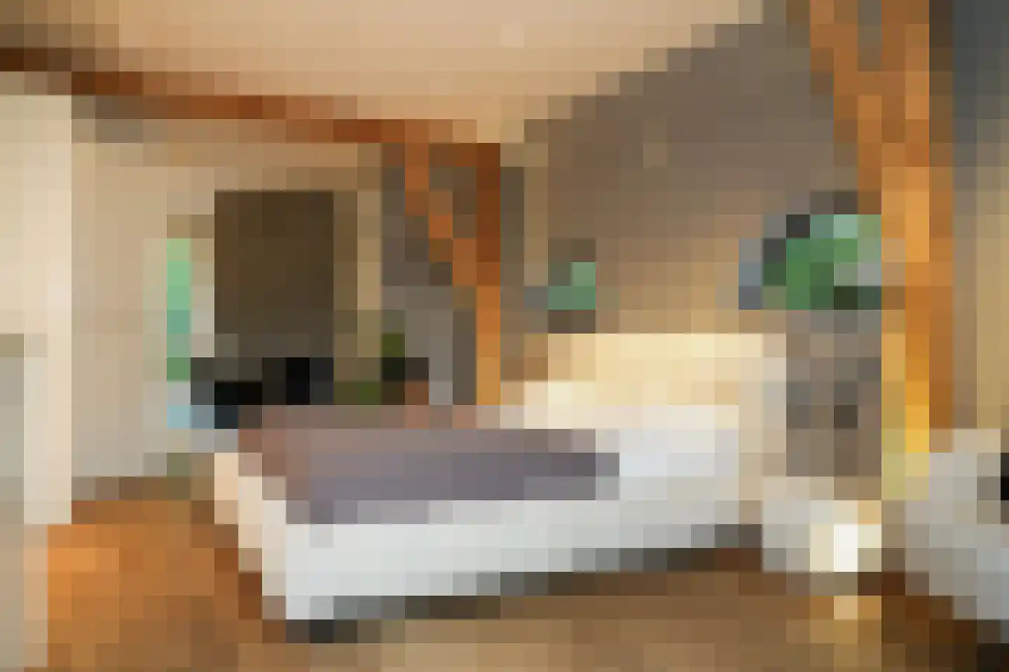 Koningsweg 1 Esch thumbnail 23