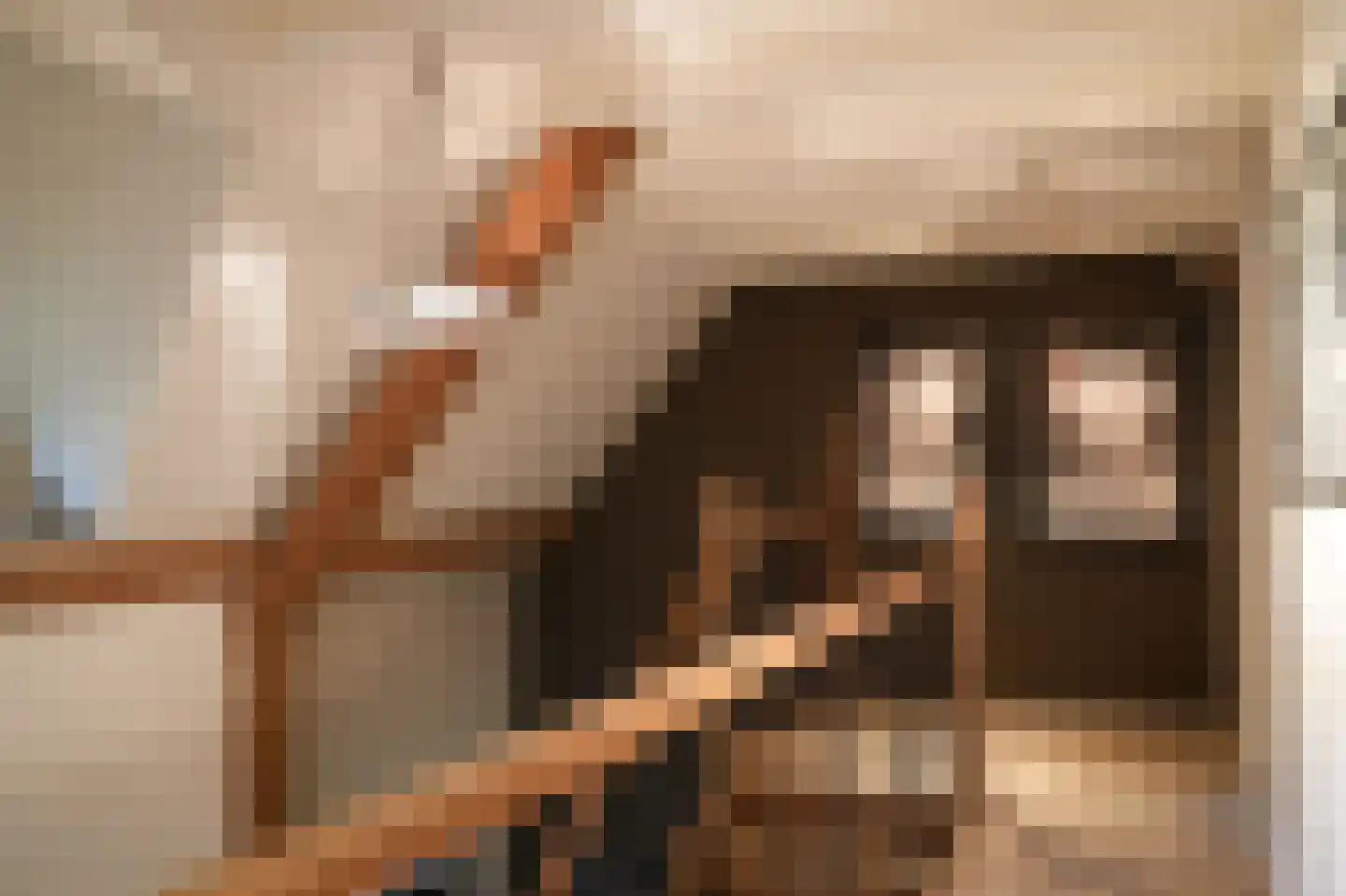 Koningsweg 1 Esch thumbnail 27