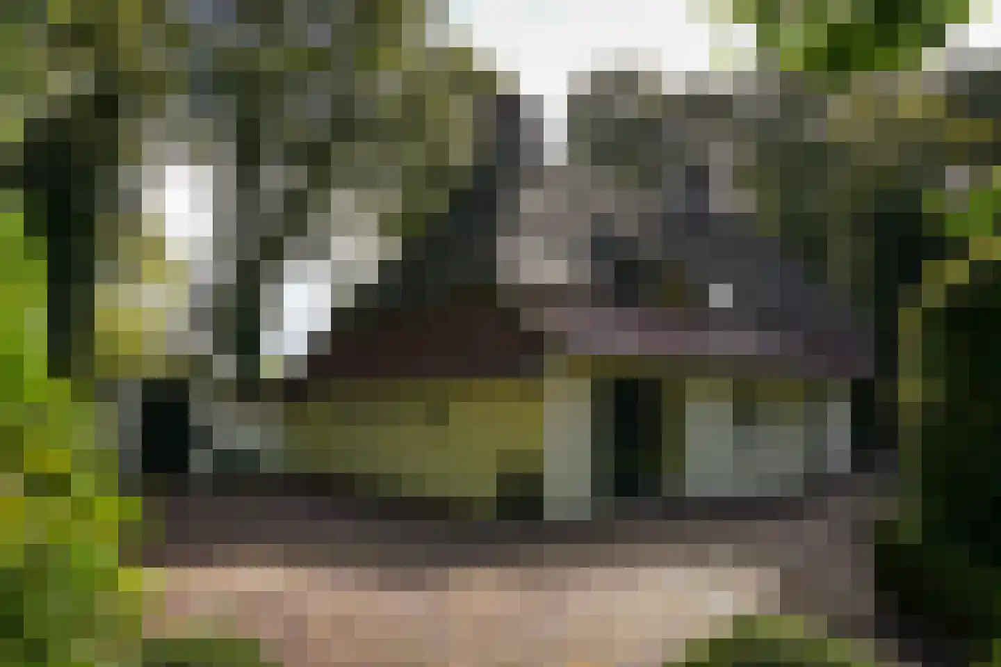 Koningsweg 1 Esch thumbnail 35